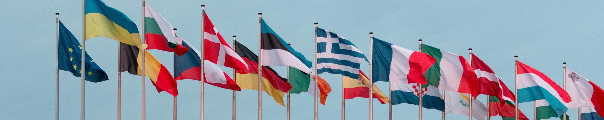 EU Flags
